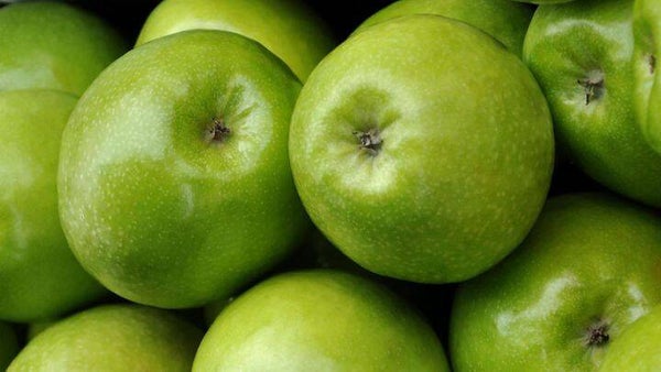 Appel Granny Smith -Malus domestica Granny Smith (in pot)