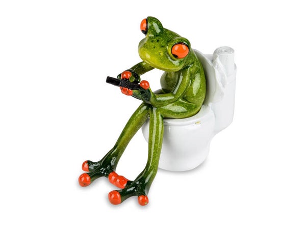 Formano Froschhausen - Handy und Toilette