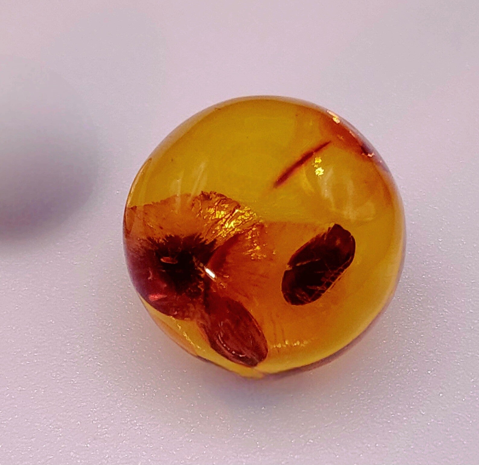 Baltic Amber Cabochon