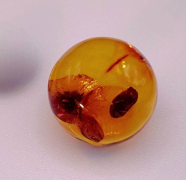 Baltic Amber Cabochon