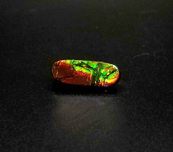 Ammolite Cabochon