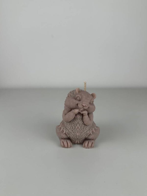 Eekhoorn
