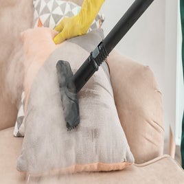 c6fa866c2442-steam-cleaning-sofa-standard-5nv1mg.jpg