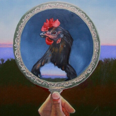 United Poultry Concerns, animal rights