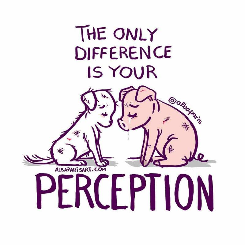 The only difference is your perception - Alba Paris Art, animal rights
