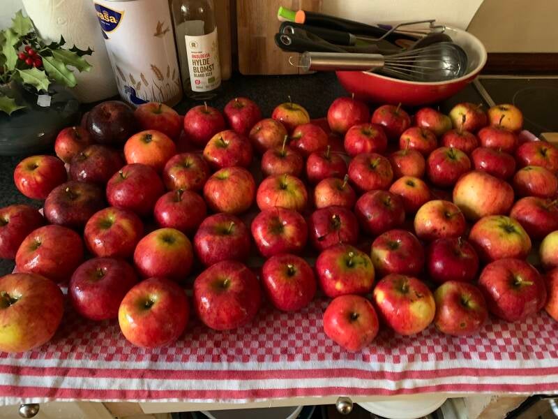 Mijn twee appelbomen in de voortuin geven de lekkerste appels (een ervan Ingrid Marie)