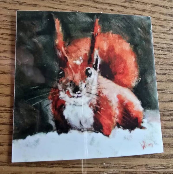 Luxe Contour Art-Sticker - Eekhoorn - 57x57mm