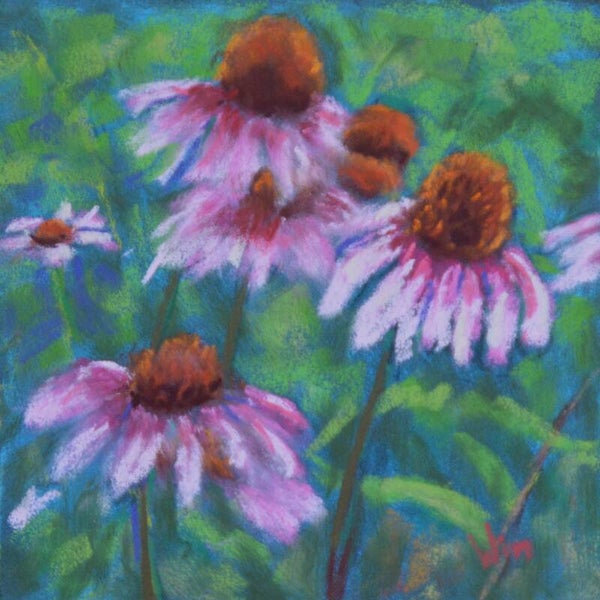 print - echinacea - 15x15cm