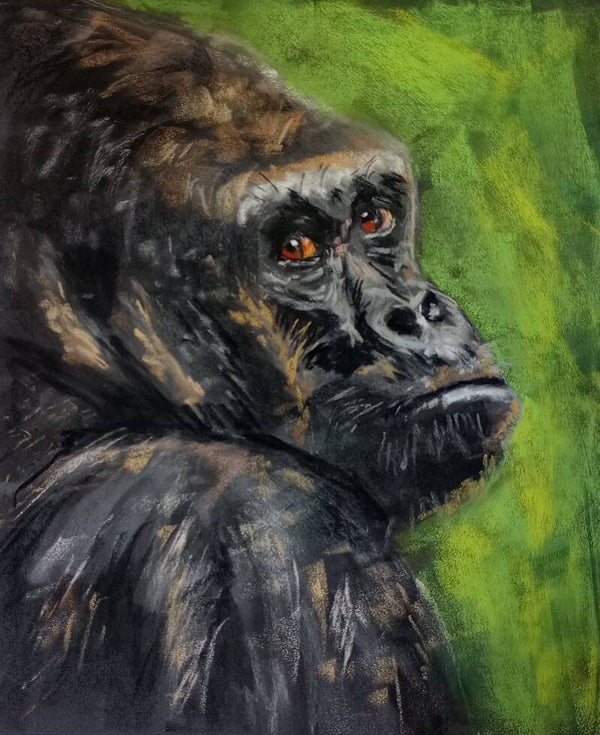 print - gorilla - 13x18cm