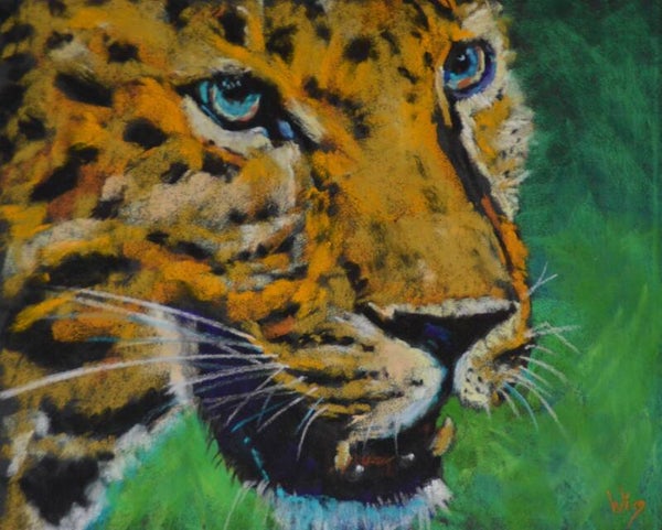 Leopard