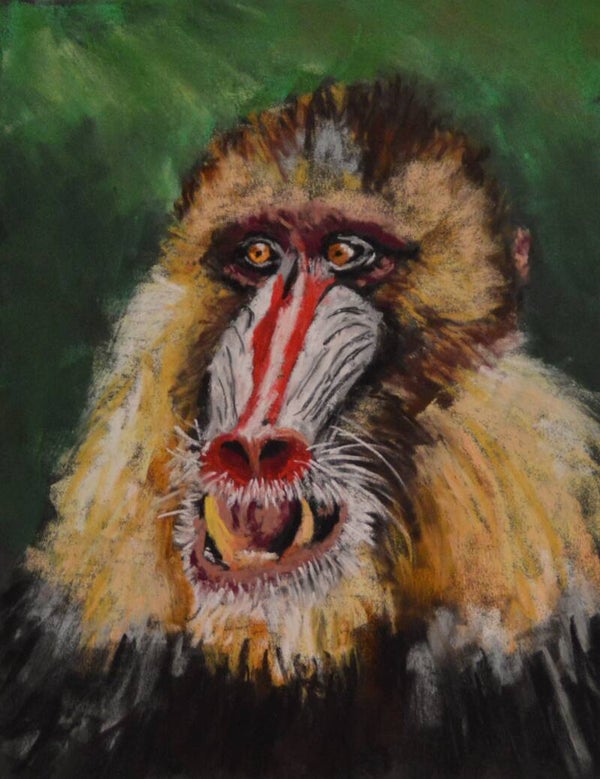 Scary Mandril