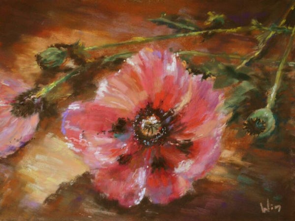 Pink Reverie