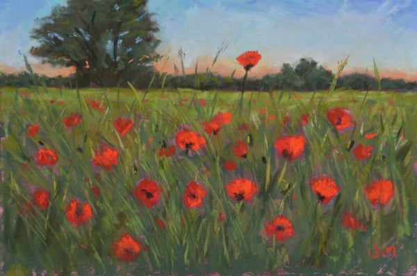 Poppy Field