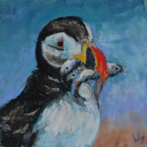 Puffin #1