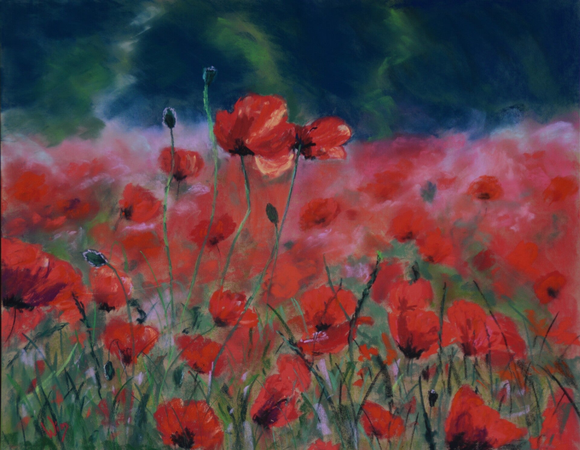 Red Poppies