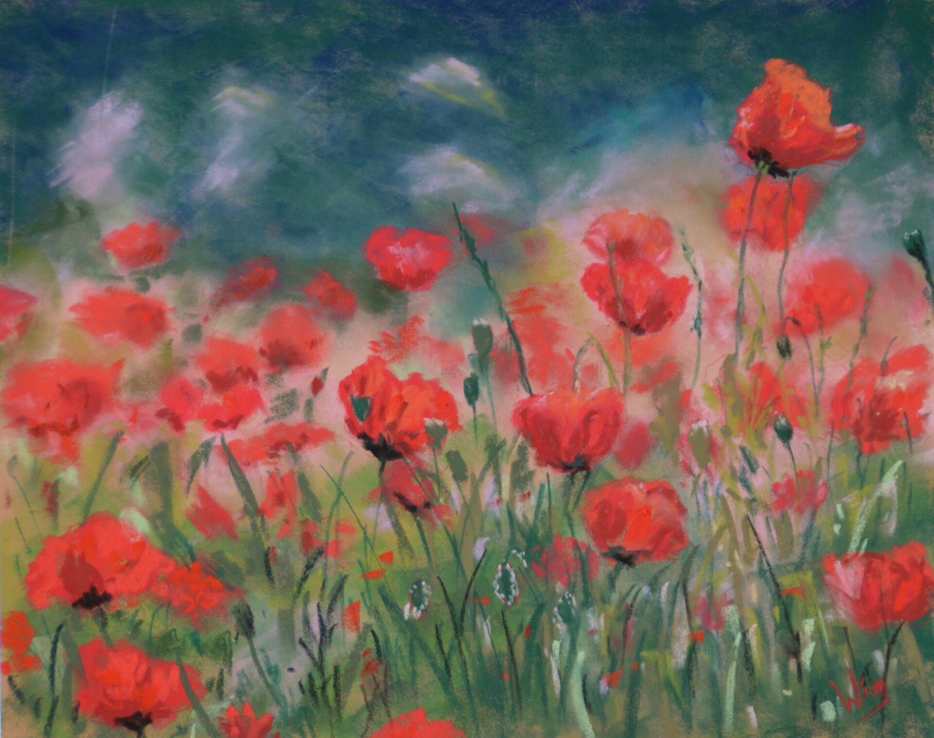 Red Poppy Field