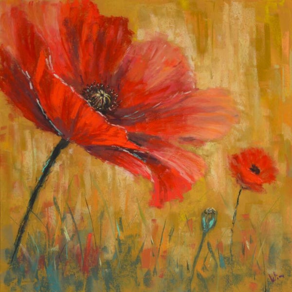 Where Poppies Bloom