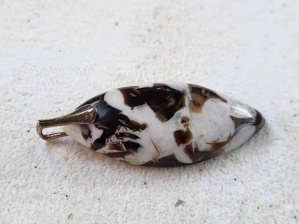 Versteend pinda hout