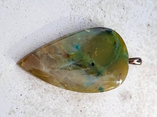 Geopaliseerd versteend hout