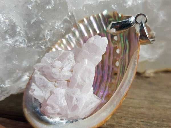 Schelp met gekristaliseerde rozenkwarts