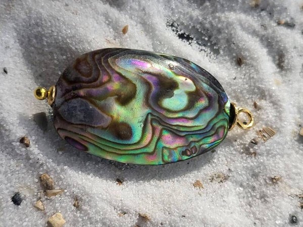 Abalone schelp hanger