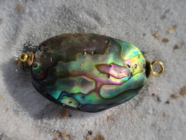 Abalone schelp hanger
