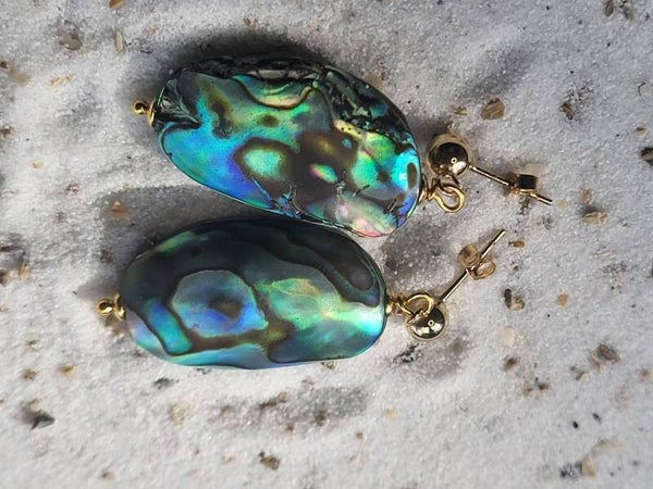 Abalone schelp oorstekers