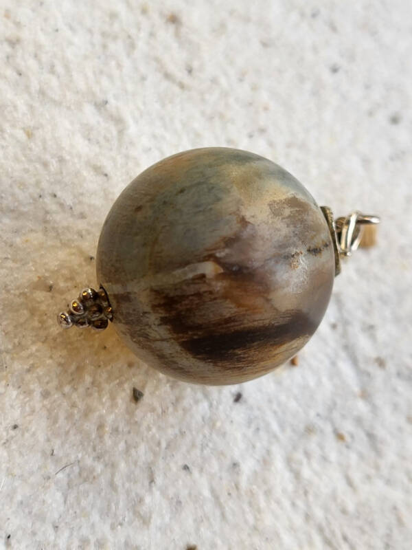 Versteend hout bolletje