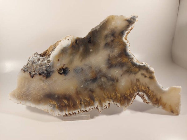 Dendriet agaat slice