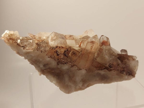 Protector tangerine kwarts