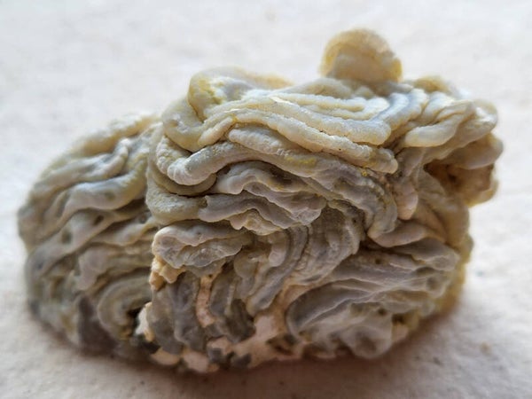 Agaat chalcedoon geode