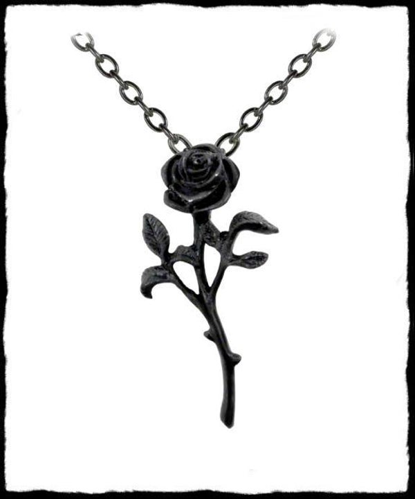 Black Rose