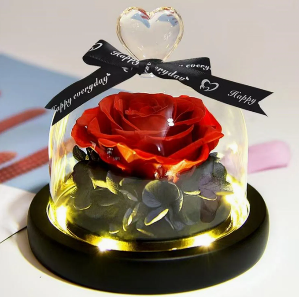 DuraFleur Enchanted Rose Dome – Preserved Red Rose with LED Light