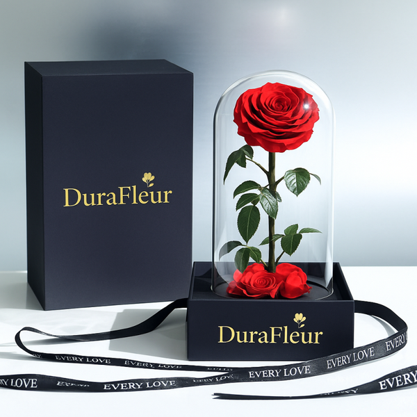 DuraFleur Timeless Rose Dome and Preserved Rose Bouquet