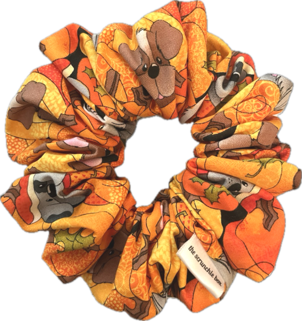 Pumpkin”s Doggie Delight