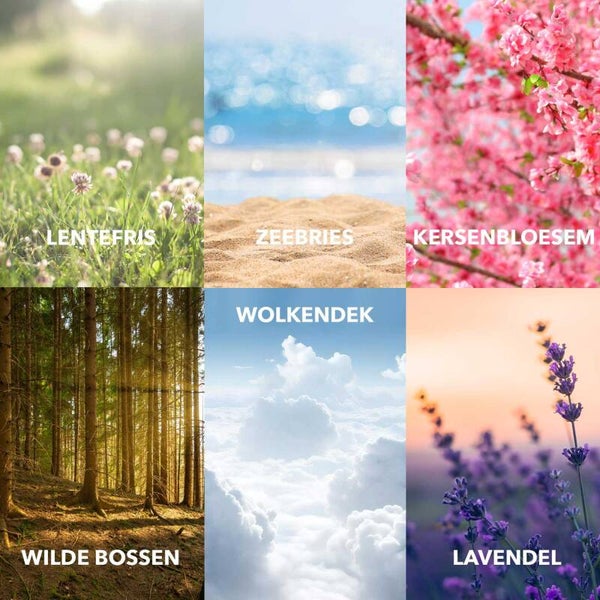 Cosmeau Wasstrips Proefpakket | Alle 6 Geuren
