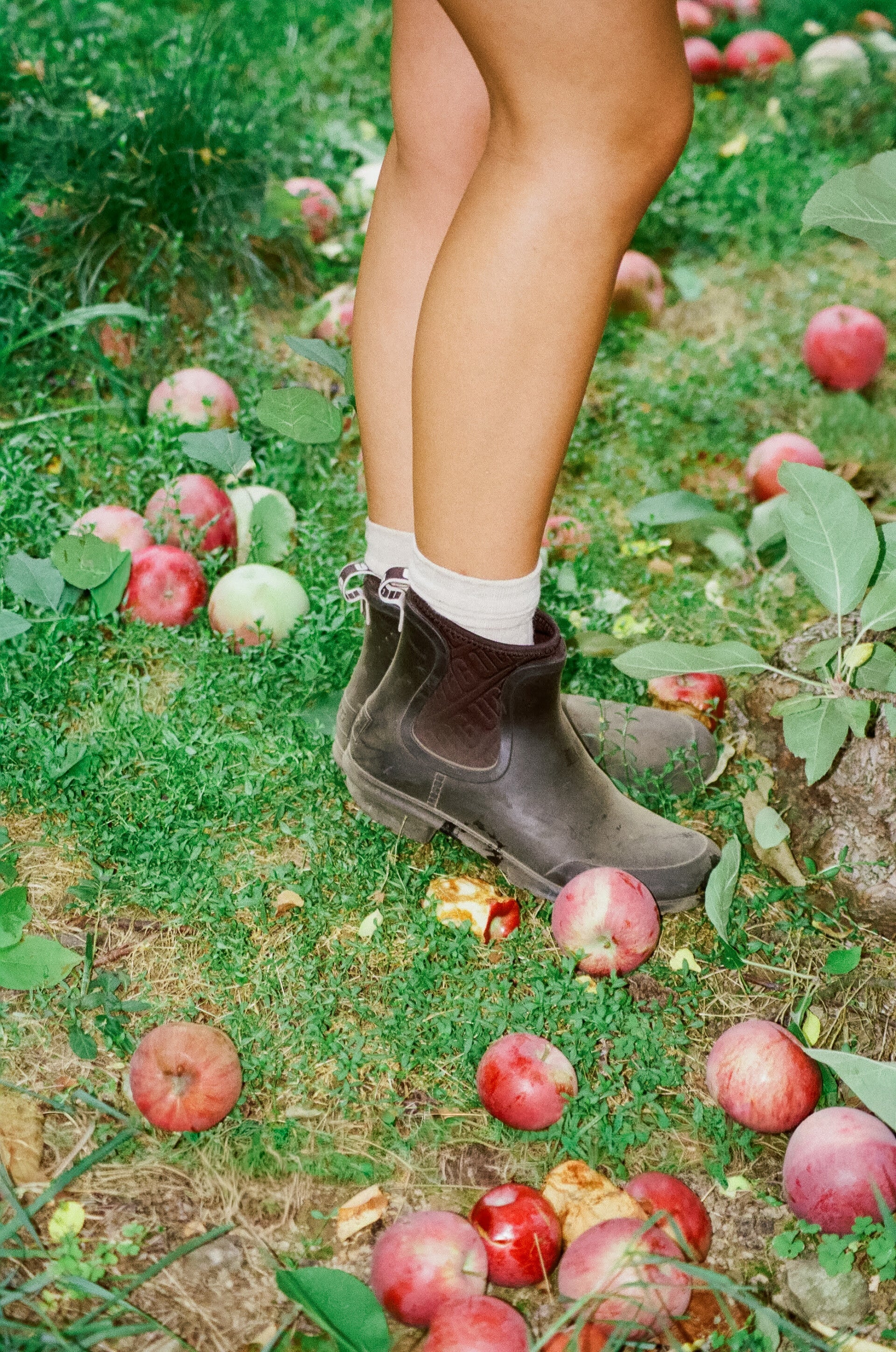 Close-up film photo of boots and legs standing among fallen apples in a grassy orchard, natural documentary style film photographer.