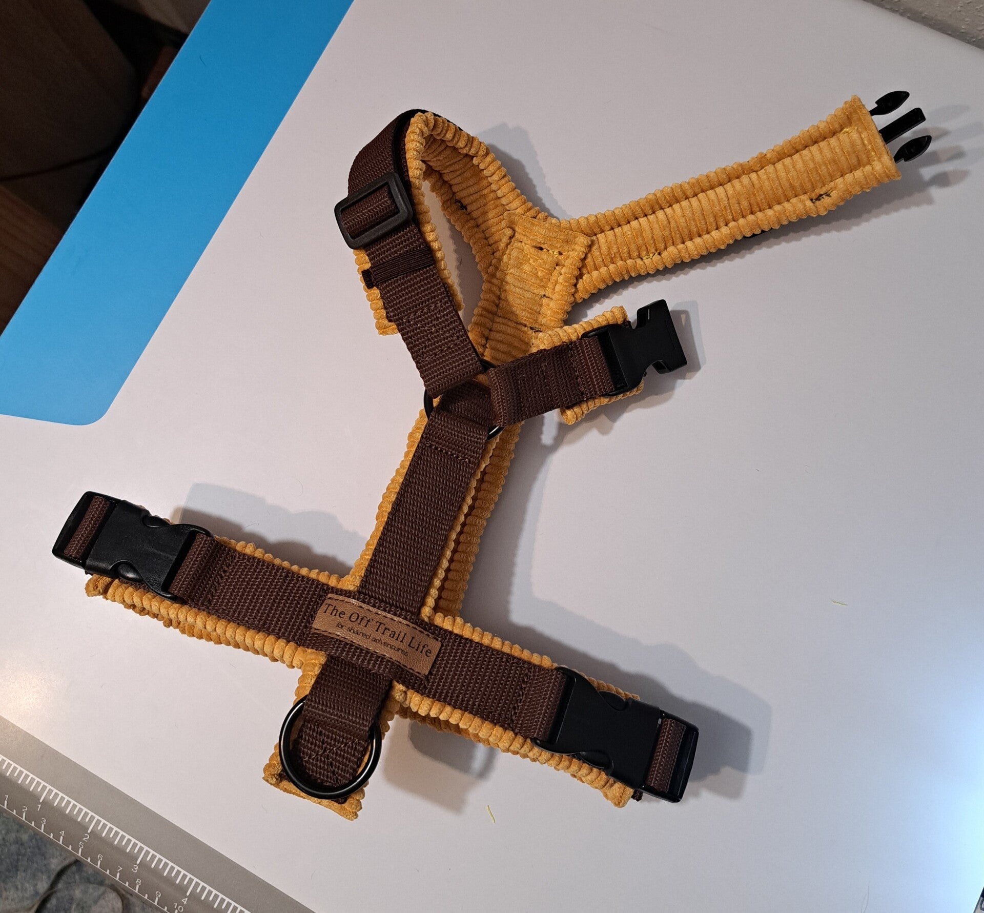 Zusatzoption Schnalle am Hals