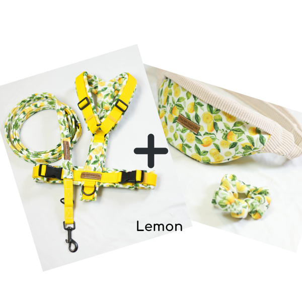 Komplettset Geschirr - Match with your furry friend