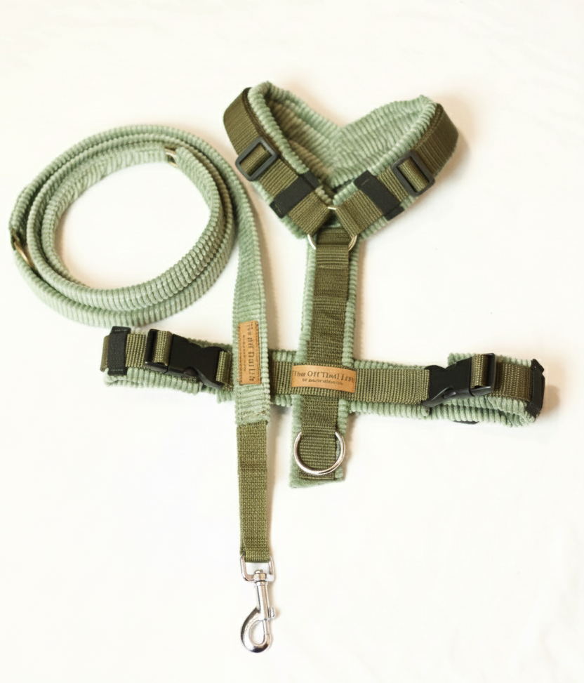 Set 'Green Cord'