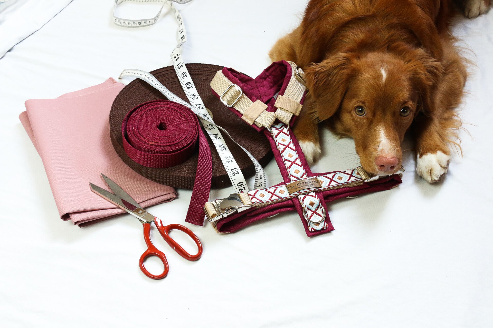 Zusatzpaket Maßanpassung Y-Geschirr