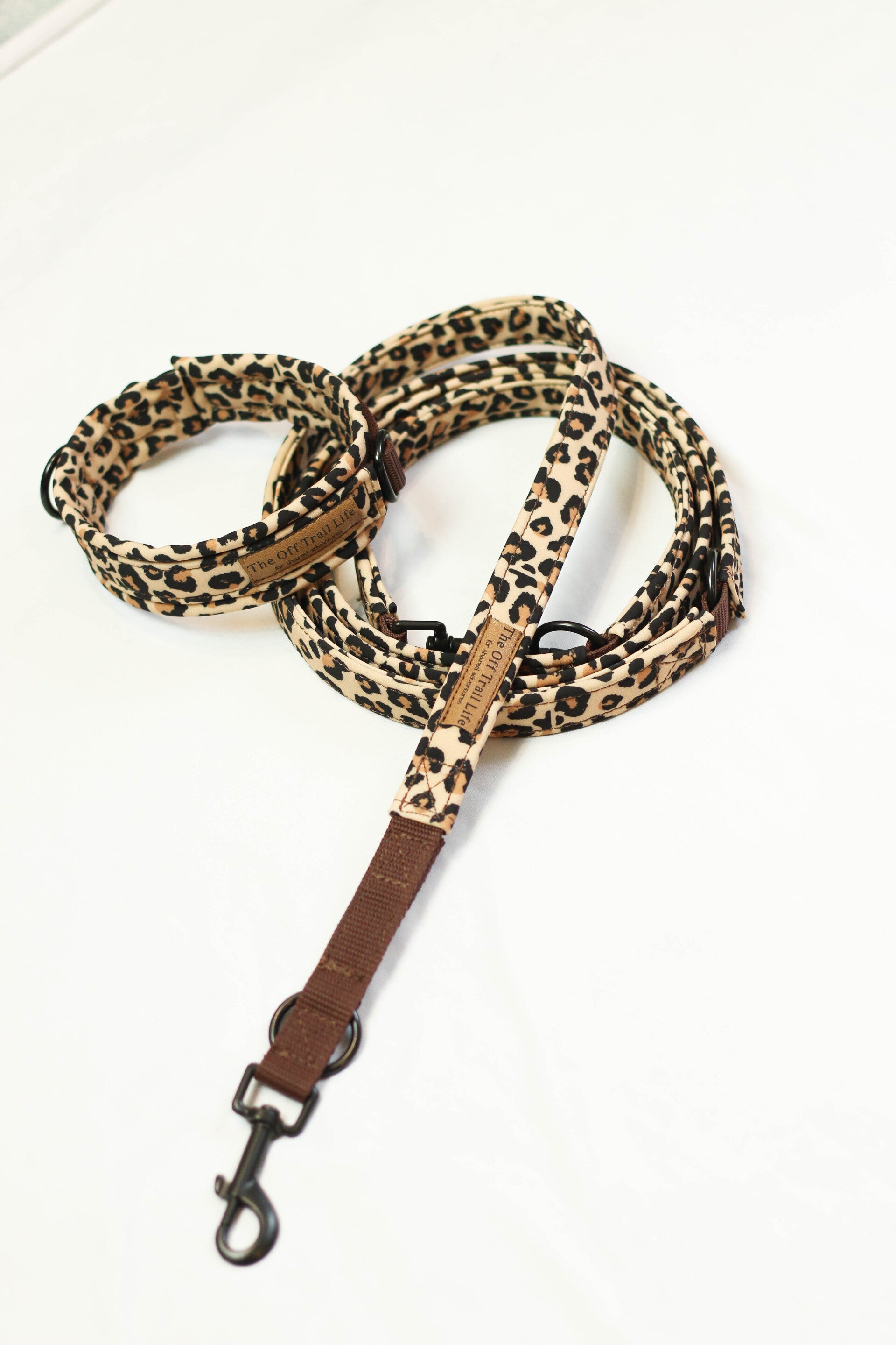 Halsband + Leine 'Leo Paw'