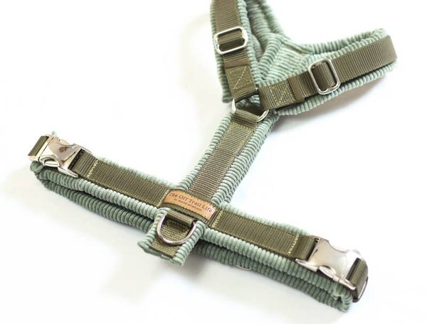 Y-Geschirr 'Green Cord'