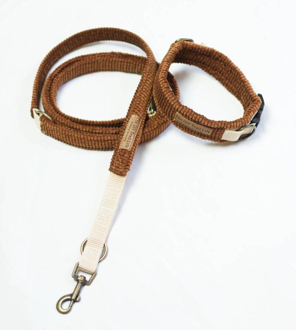 Halsband + Leine 'Teddy Cord'