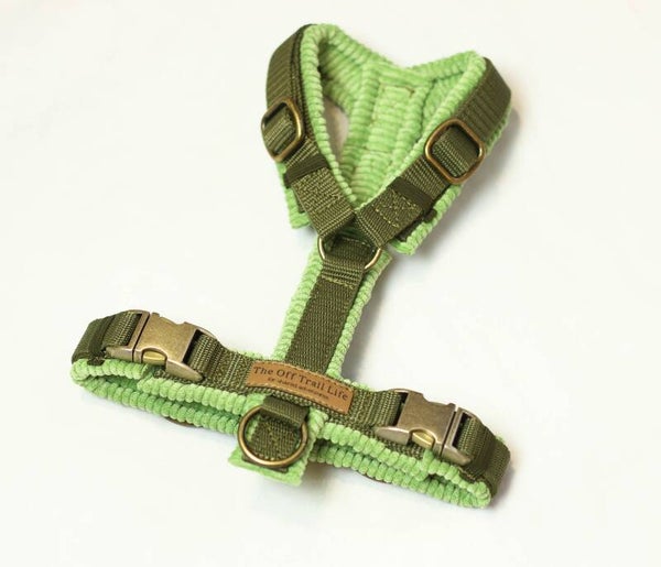 Y-Geschirr 'Kiwi Cord'