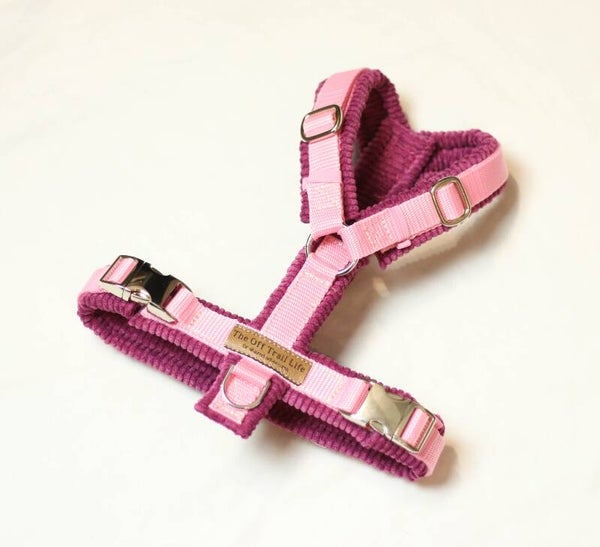 Y-Geschirr 'Pink Cord'