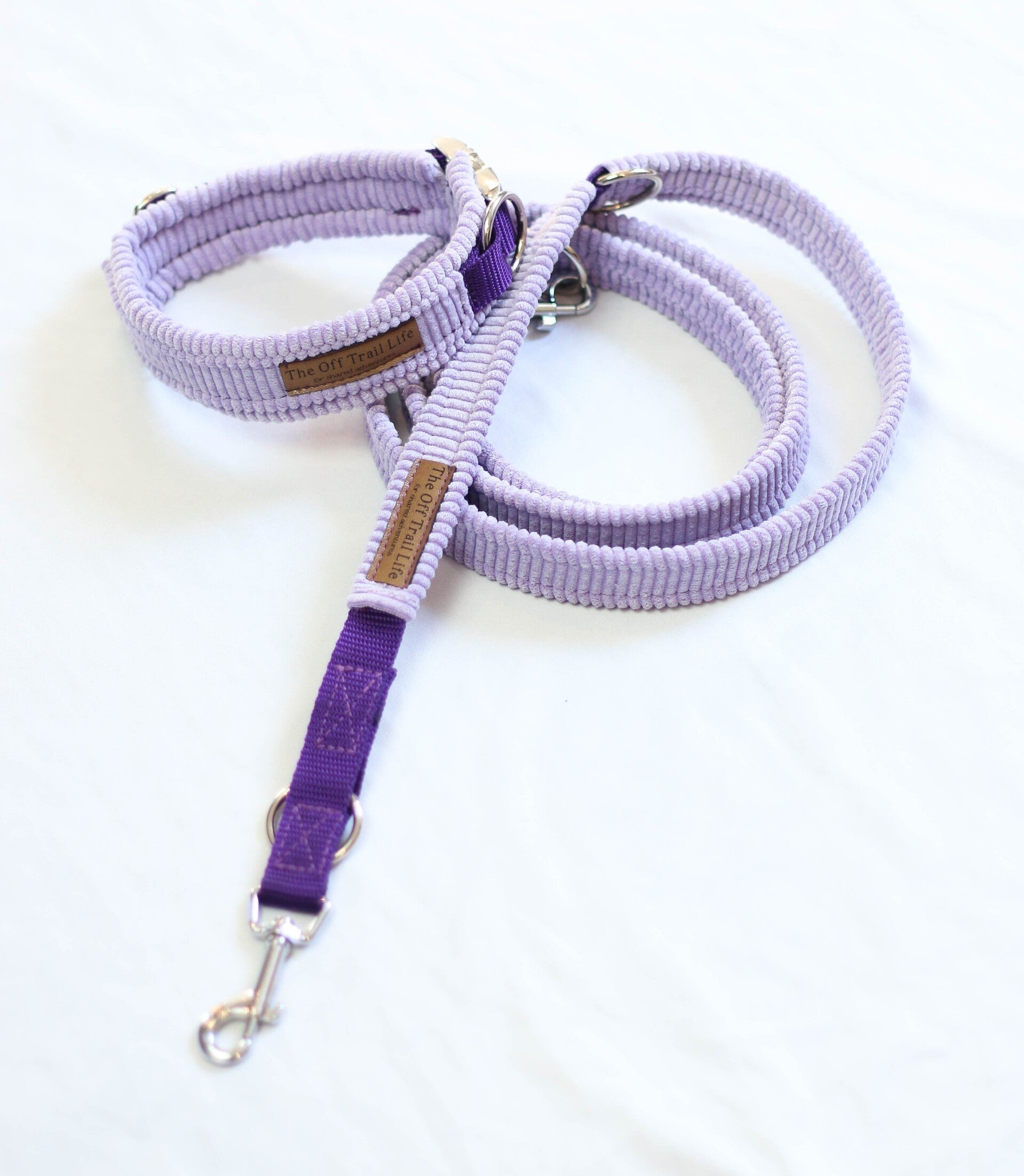 Halsband + Leine 'Flieder Cord'