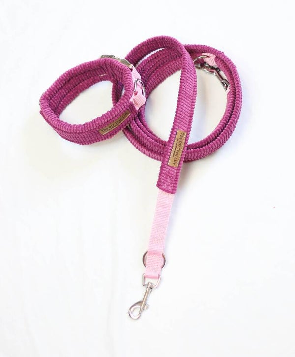 Halsband + Leine 'Pink Cord'