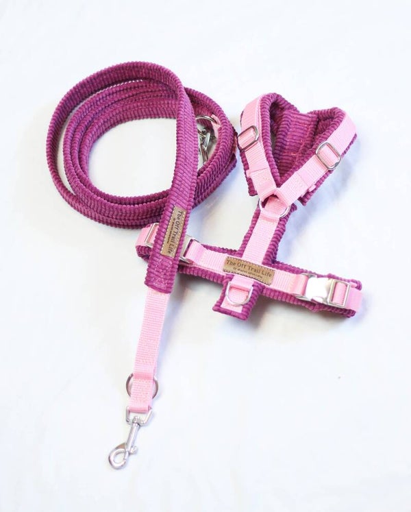 Set 'Pink Cord'