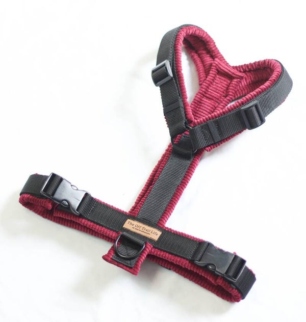 Y-Geschirr 'Red Cord'